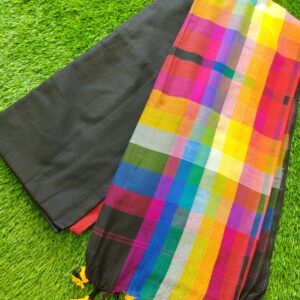 Rainbow Saree